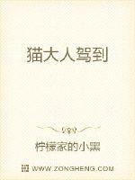 猫大人驾到